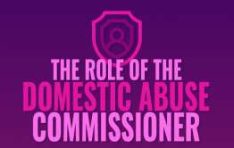 domestic abuse commissioner