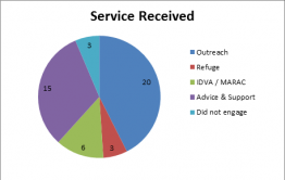 pie chart service received
